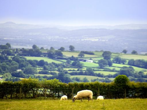 Herefordshire