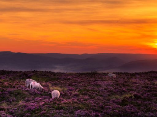 Peak District