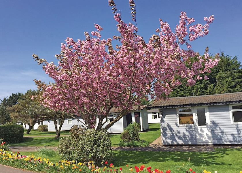 solway holiday village setting